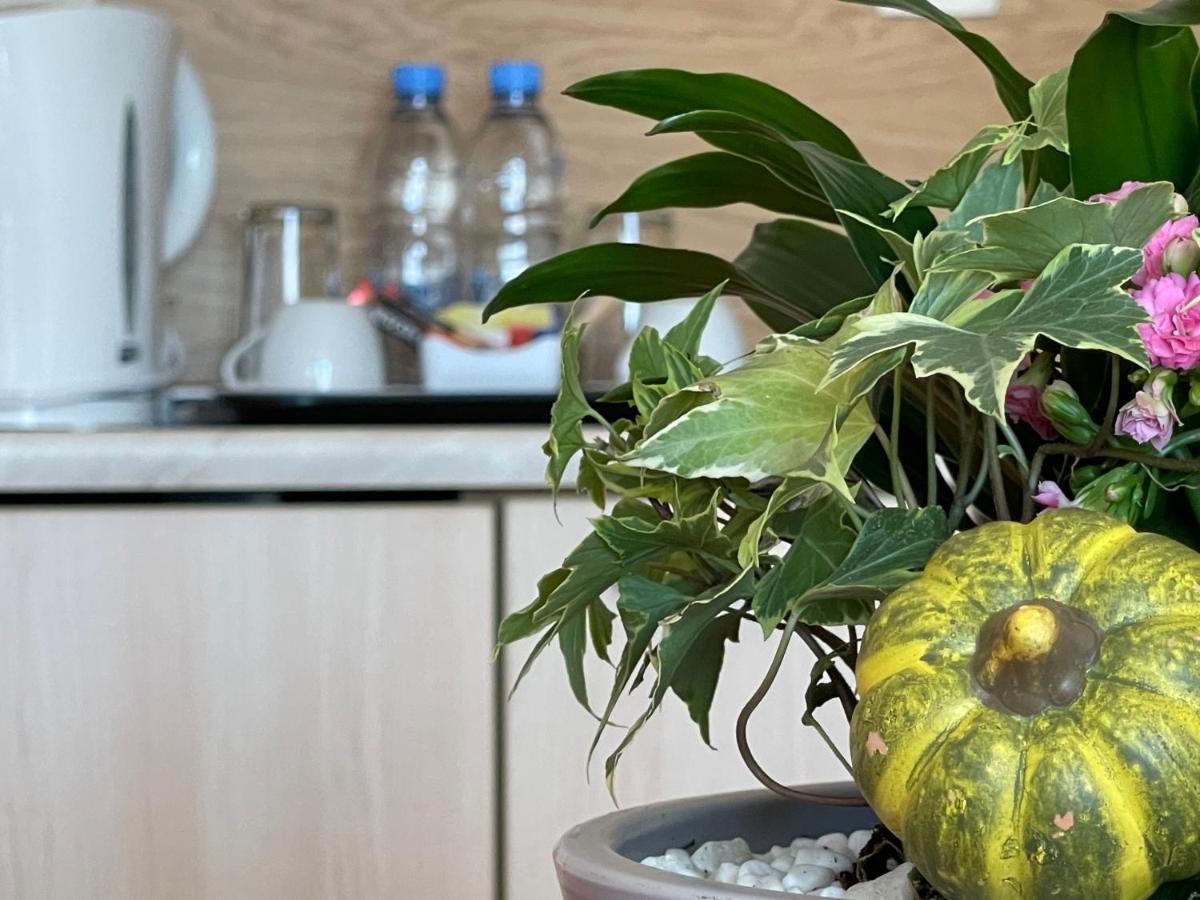 Adeona Wellness Hotel By Asteri Hotels Bansko Dış mekan fotoğraf