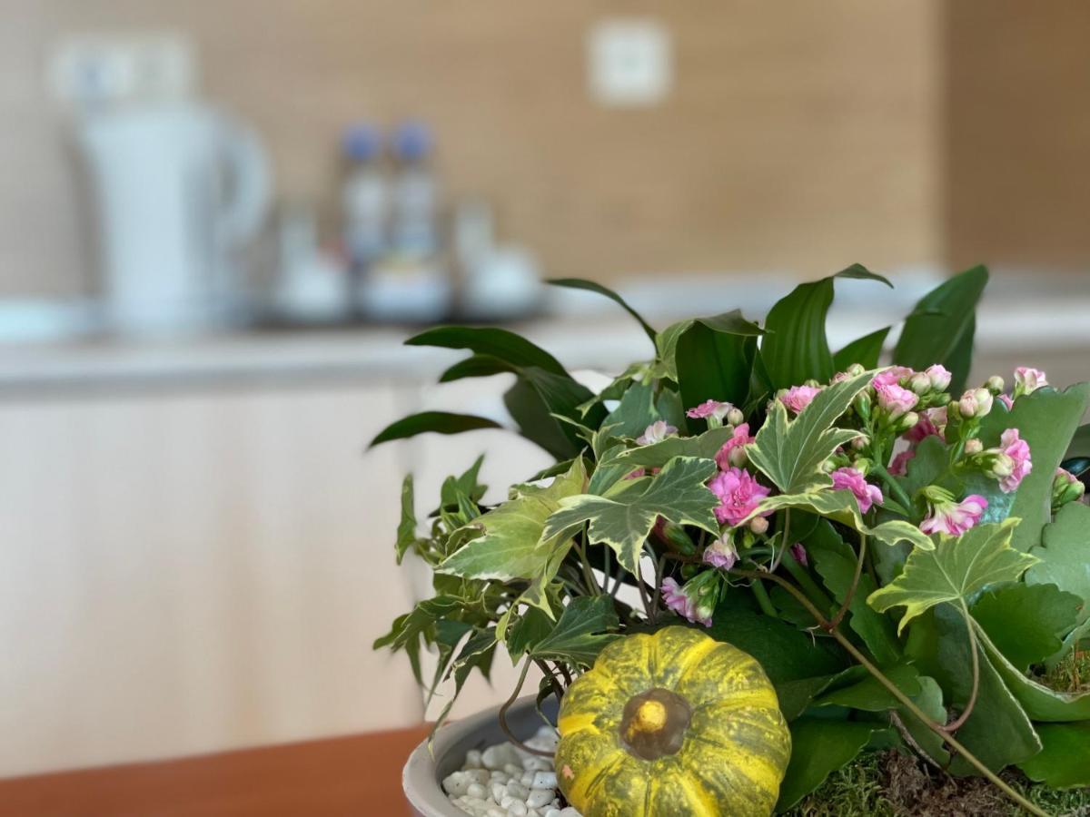 Adeona Wellness Hotel By Asteri Hotels Bansko Dış mekan fotoğraf